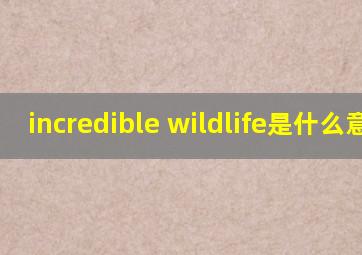 incredible wildlife是什么意思